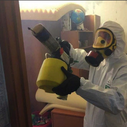 Уничтожение клопов в квартире. Эртиль